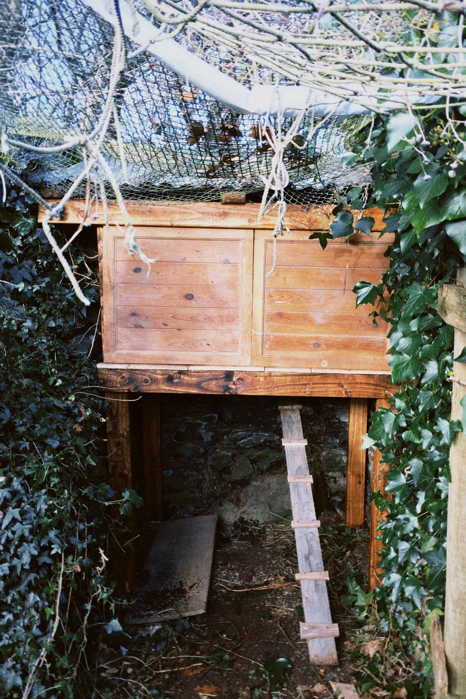 Chicken coup after